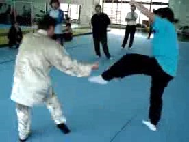 shaolin kung fu