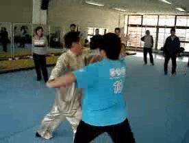 shaolin kung fu