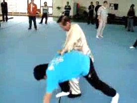 shaolin kung fu