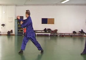 Wahnam Taijiquan