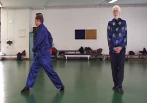 Wahnam Taijiquan