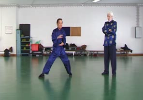 Wahnam Taijiquan