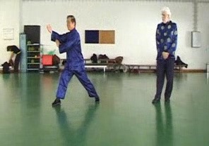 Wahnam Taijiquan