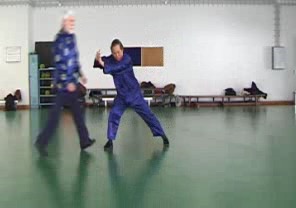 Wahnam Taijiquan