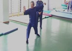 Wahnam Taijiquan