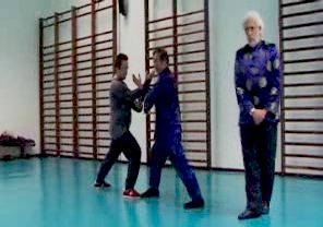 Wahnam Taijiquan