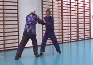 Wahnam Taijiquan