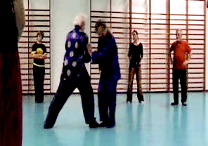 Wahnam Taijiquan