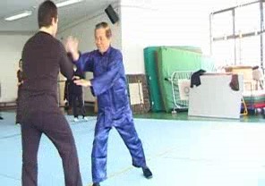 Wahnam Taijiquan