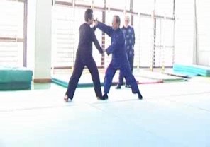 Wahnam Taijiquan