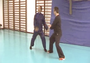 Wahnam Taijiquan