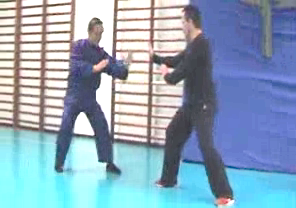 Wahnam Taijiquan