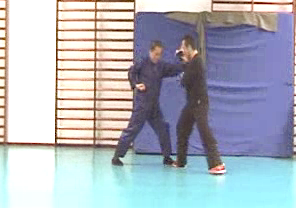 Wahnam Taijiquan