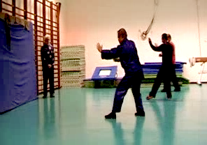 Wahnam Taijiquan