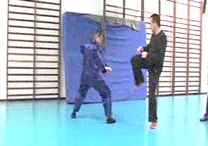 Wahnam Taijiquan, Tai Chi Chuan