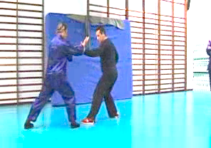 Wahnam Taijiquan