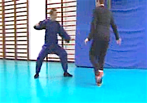 Wahnam Taijiquan