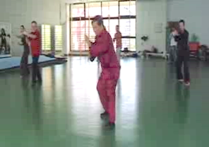 Wahnam Taijiquan