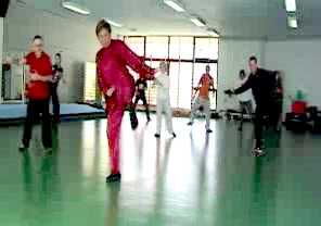 Wahnam Taijiquan