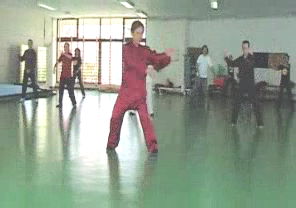 Wahnam Taijiquan