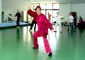 Wahnam Taijiquan