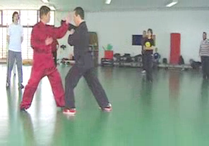 Wahnam Taijiquan