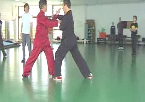 Wahnam Taijiquan