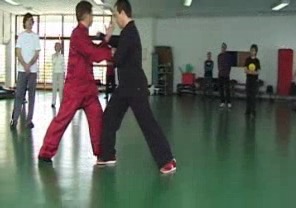 Wahnam Taijiquan