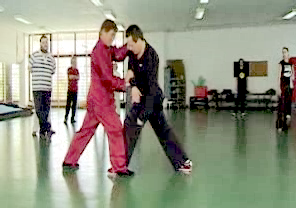 Wahnam Taijiquan