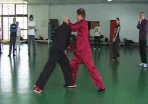 Wahnam Taijiquan