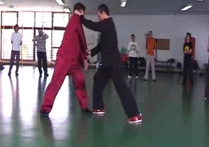 Wahnam Taijiquan