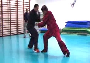 Wahnam Taijiquan