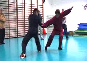 Wahnam Taijiquan