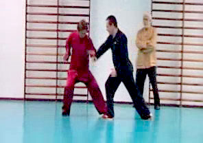 Wahnam Taijiquan