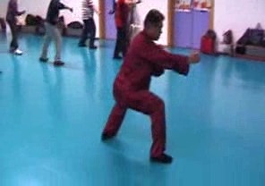 Wahnam Taijiquan