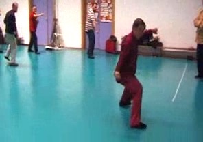 Wahnam Taijiquan