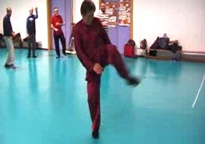 Wahnam Taijiquan