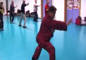 Wahnam Taijiquan