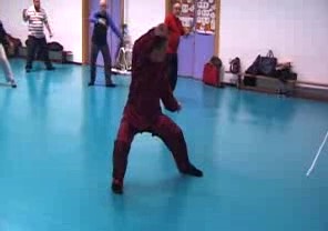 Wahnam Taijiquan