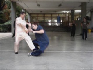 Wahnam Taijiquan