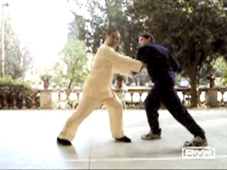 Shaolin Kung Fu