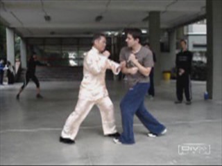 Shaolin Kung Fu