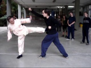 Shaolin Kung Fu