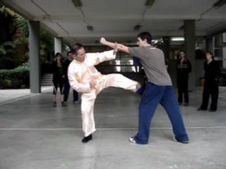 Shaolin Kung Fu