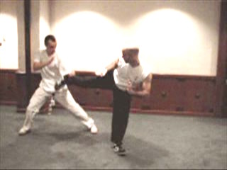 shaolin kung fu