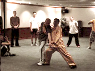 shaolin kung fu