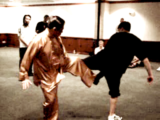 shaolin kung fu