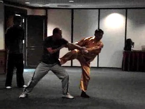 shaolin kung fu