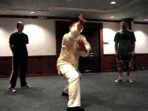 shaolin kung fu