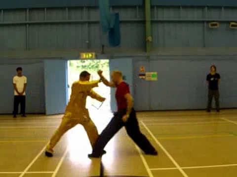 12 Combat Sequences of Shaolin Tantui